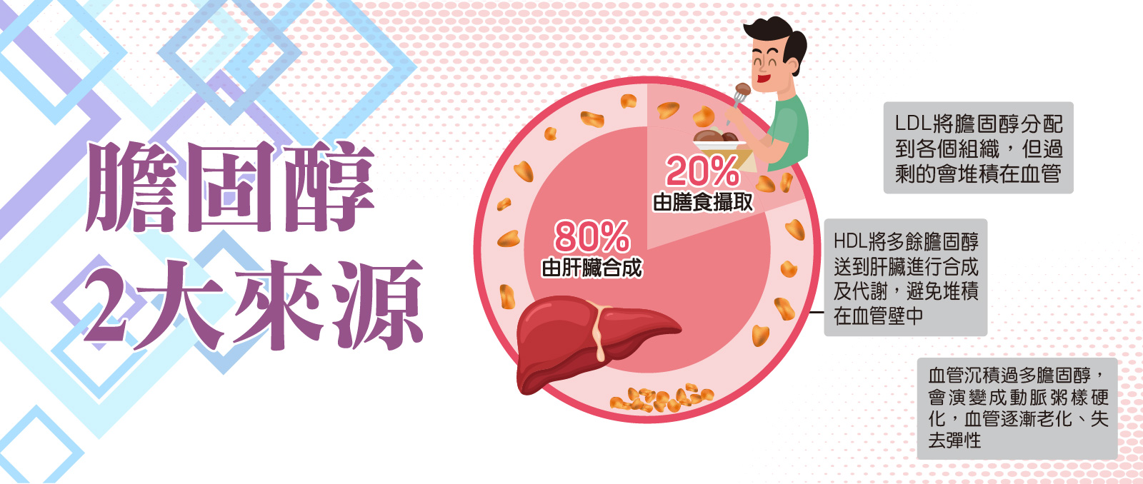 膽固醇的兩大來源