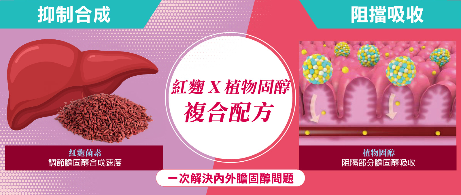 膽固醇改善複合配方